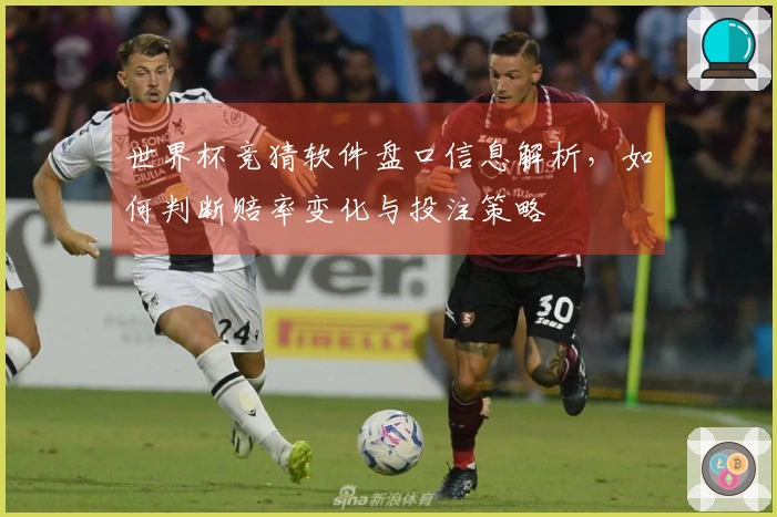 世界杯竞猜软件盘口信息解析，如何判断赔率变化与投注策略