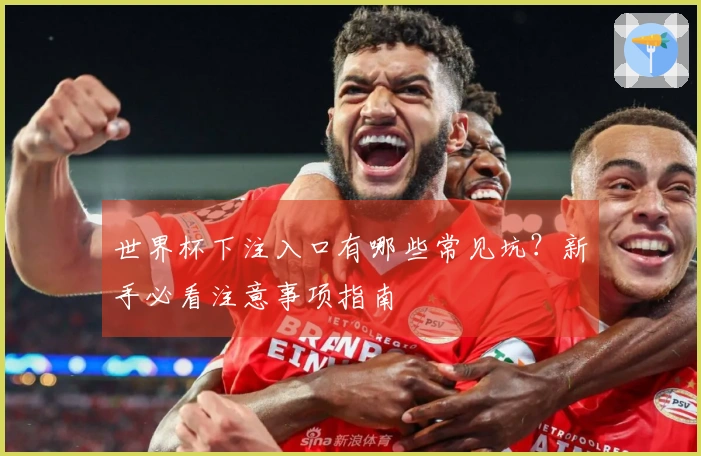 世界杯下注入口有哪些常见坑？新手必看注意事项指南