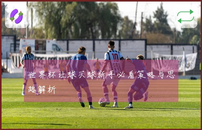 世界杯让球买球新手必看策略与思路解析