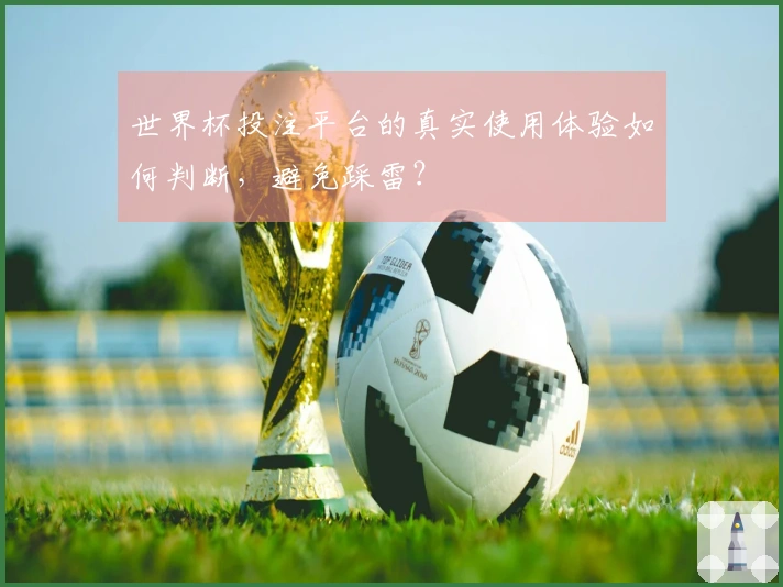 世界杯投注平台的真实使用体验如何判断，避免踩雷？