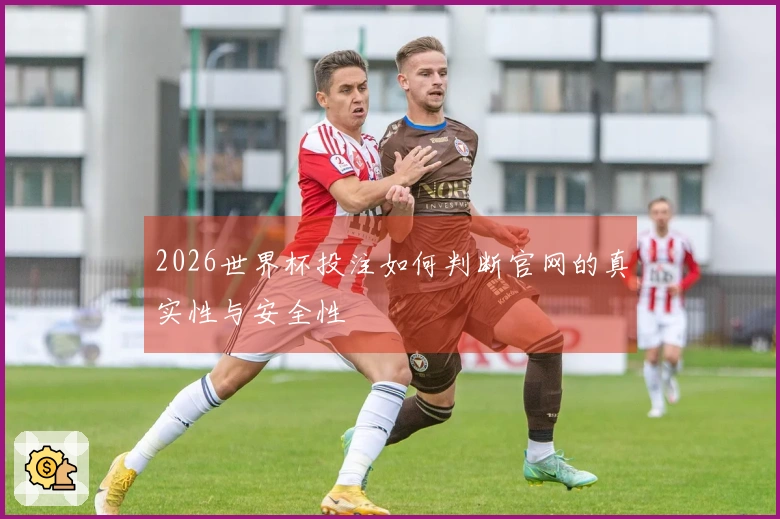 2026世界杯投注如何判断官网的真实性与安全性