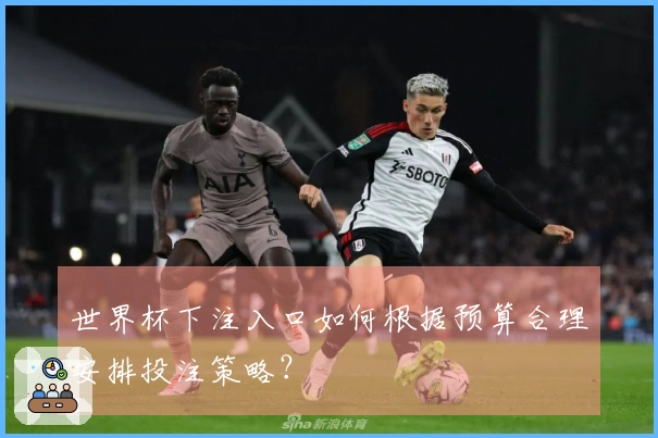 世界杯下注入口如何根据预算合理安排投注策略？