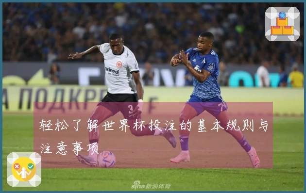 轻松了解世界杯投注的基本规则与注意事项