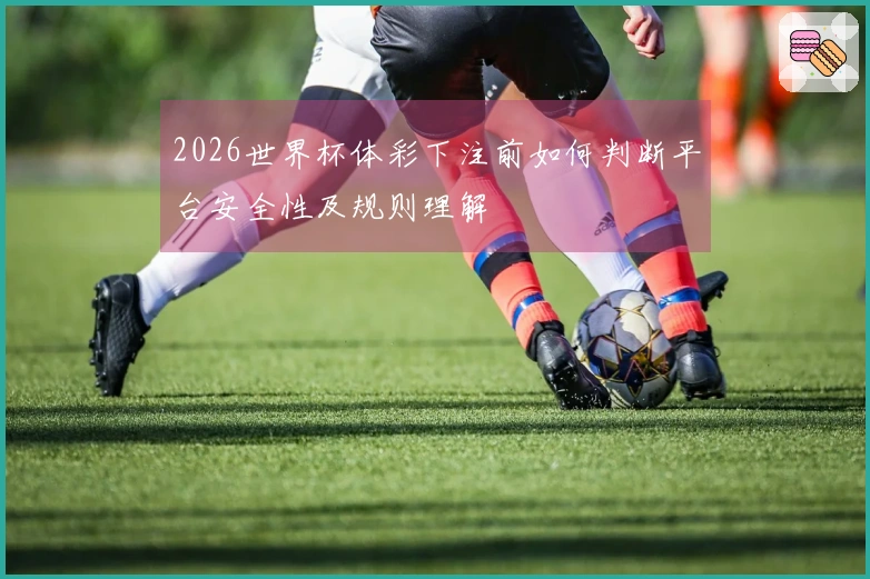 2026世界杯体彩下注前如何判断平台安全性及规则理解
