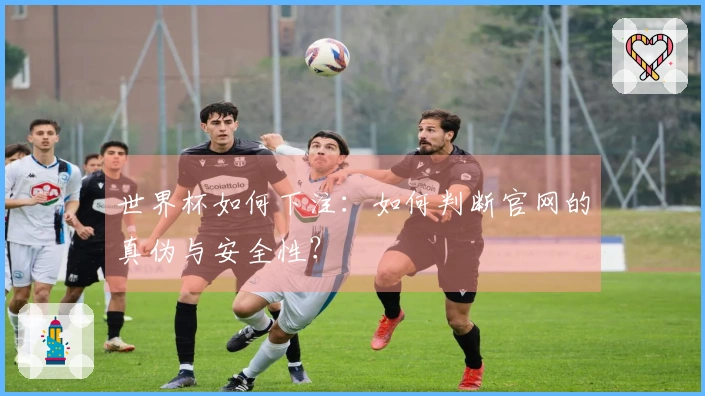 世界杯如何下注：如何判断官网的真伪与安全性？