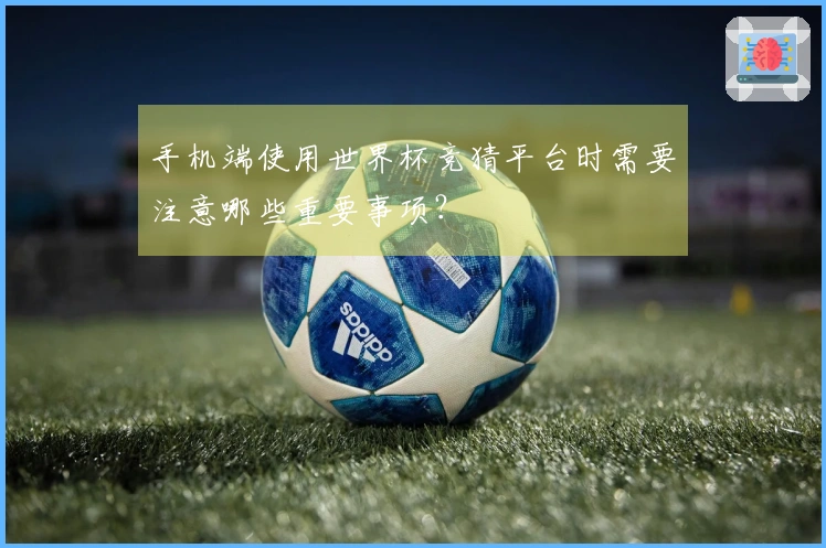 手机端使用世界杯竞猜平台时需要注意哪些重要事项？