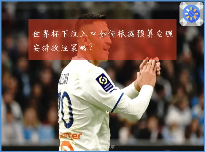 世界杯下注入口如何根据预算合理安排投注策略？