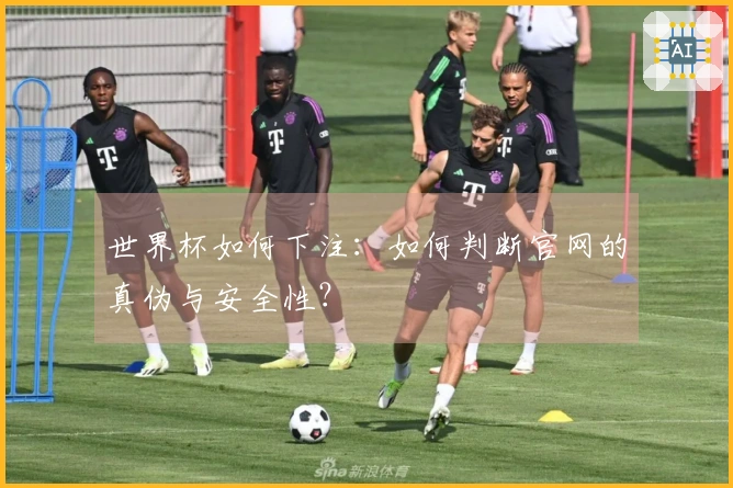 世界杯如何下注：如何判断官网的真伪与安全性？
