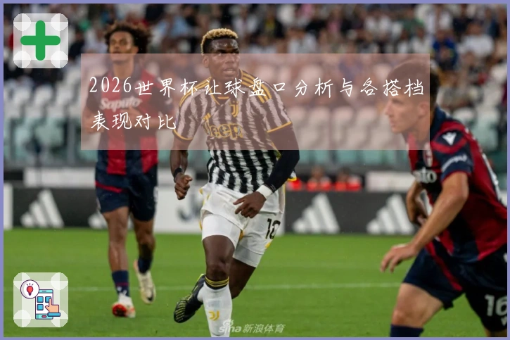 2026世界杯让球盘口分析与各搭档表现对比