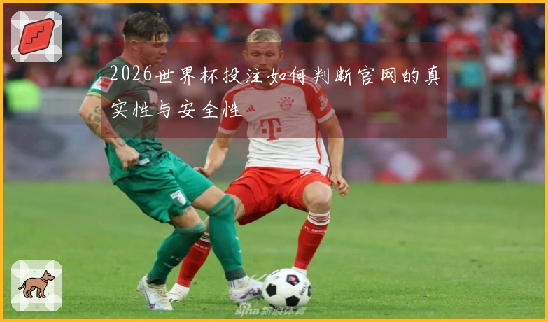 2026世界杯投注如何判断官网的真实性与安全性