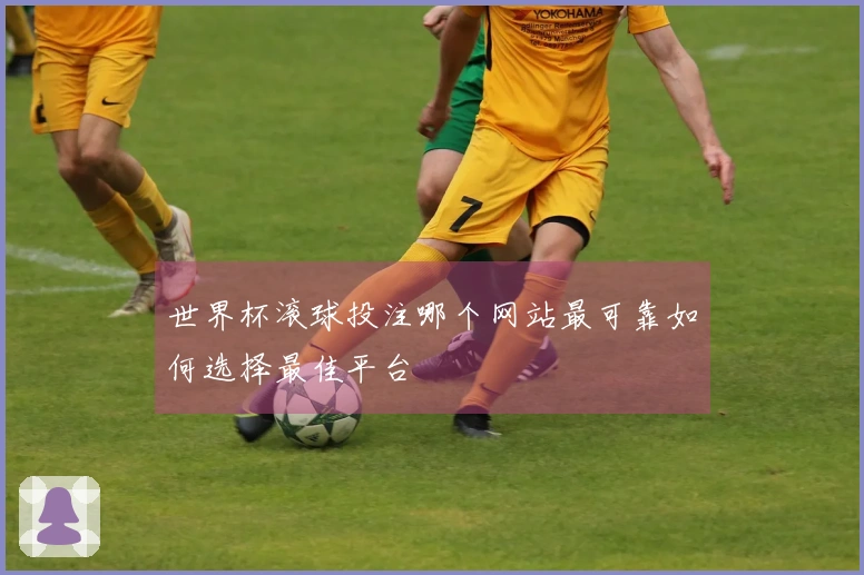 世界杯滚球投注哪个网站最可靠如何选择最佳平台