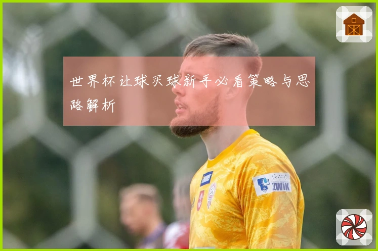 世界杯让球买球新手必看策略与思路解析