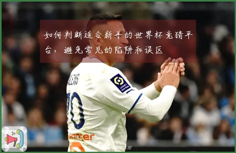 如何判断适合新手的世界杯竞猜平台，避免常见的陷阱和误区
