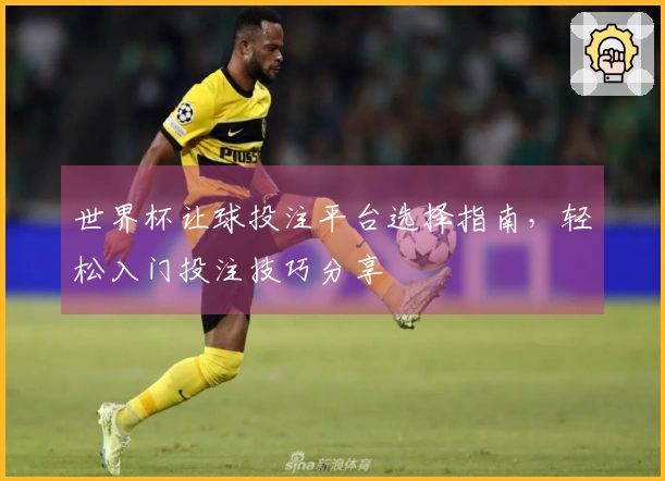 世界杯让球投注平台选择指南，轻松入门投注技巧分享