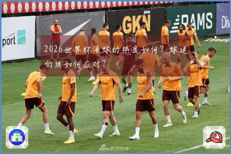 2026世界杯滚球的热度如何？球迷们该如何应对？