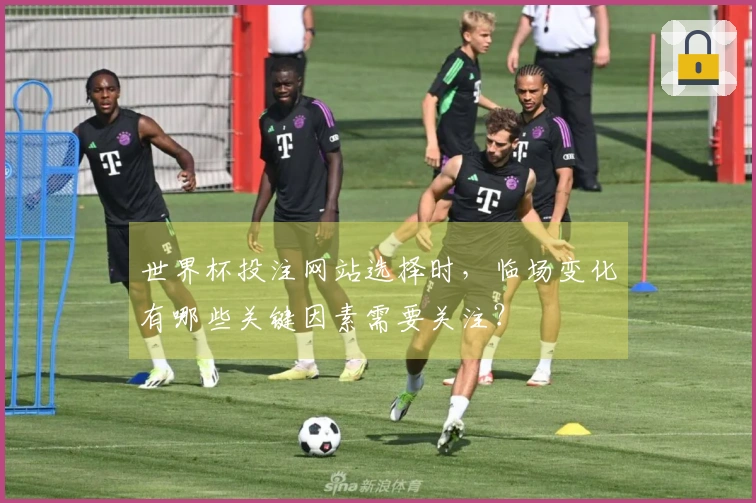 世界杯投注网站选择时，临场变化有哪些关键因素需要关注？