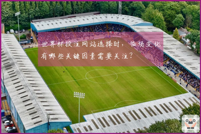 世界杯投注网站选择时，临场变化有哪些关键因素需要关注？