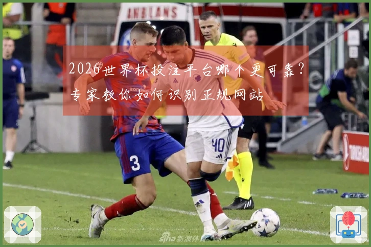 2026世界杯投注平台哪个更可靠？专家教你如何识别正规网站