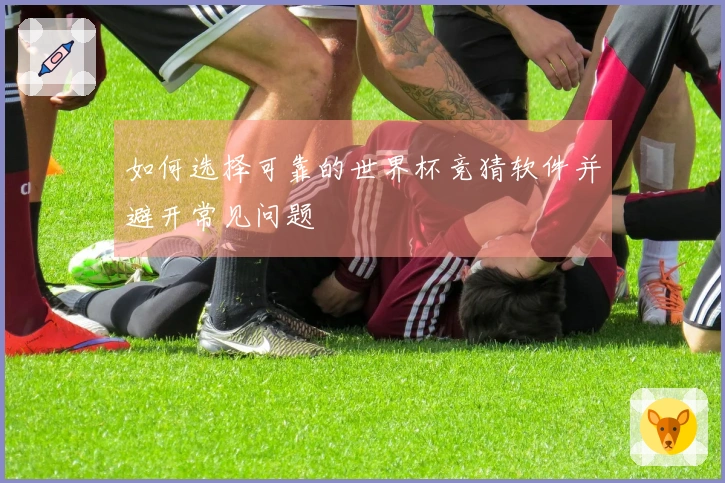 如何选择可靠的世界杯竞猜软件并避开常见问题
