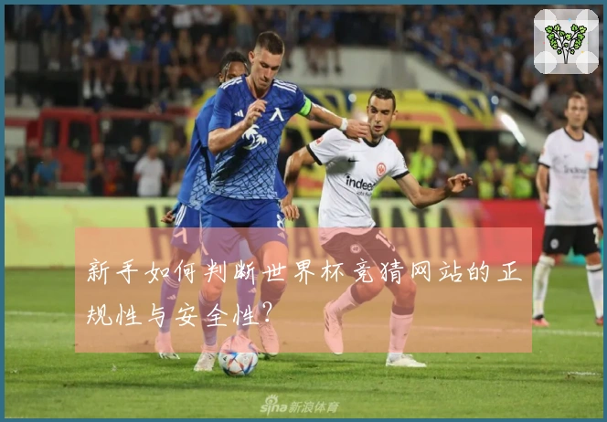 新手如何判断世界杯竞猜网站的正规性与安全性？