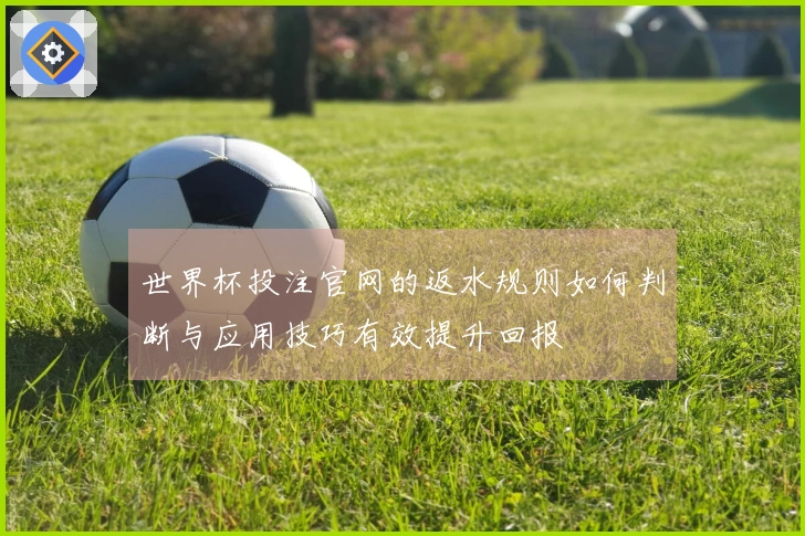 世界杯投注官网的返水规则如何判断与应用技巧有效提升回报