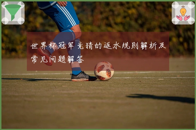 世界杯冠军竞猜的返水规则解析及常见问题解答