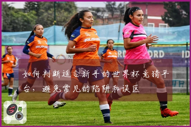 如何判断适合新手的世界杯竞猜平台，避免常见的陷阱和误区