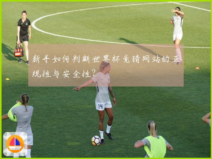 新手如何判断世界杯竞猜网站的正规性与安全性？