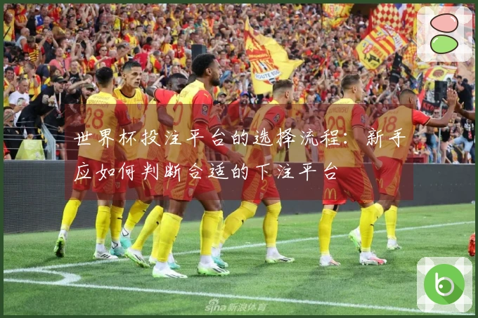 世界杯投注平台的选择流程：新手应如何判断合适的下注平台