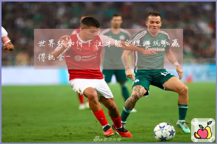 世界杯如何下注才能合理避坑和赢得机会-