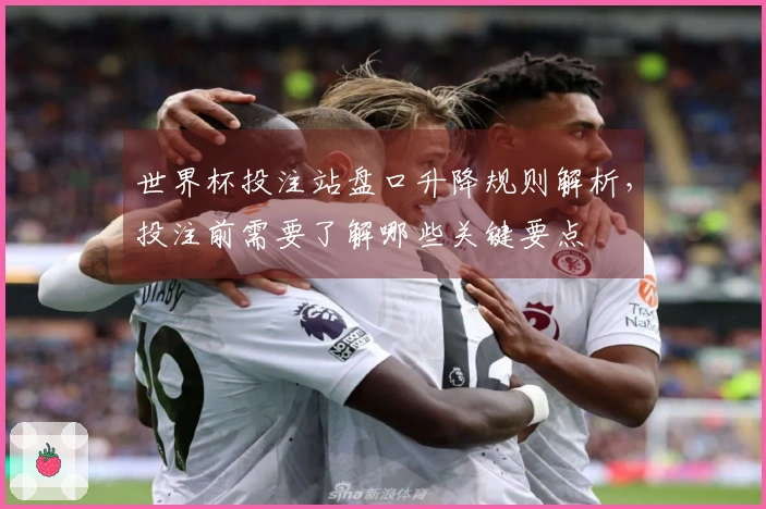 世界杯投注站盘口升降规则解析，投注前需要了解哪些关键要点