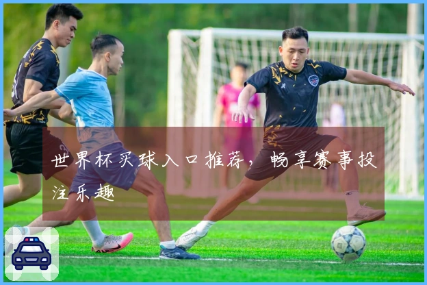 世界杯买球入口推荐，畅享赛事投注乐趣