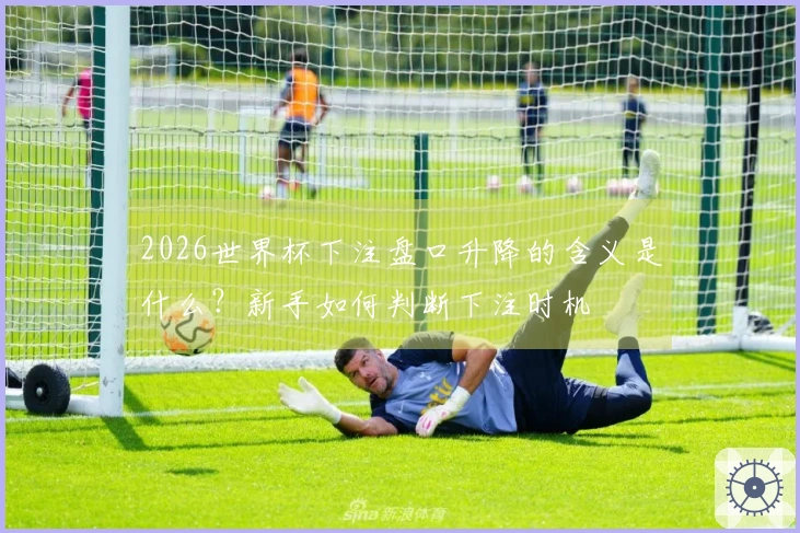 2026世界杯下注盘口升降的含义是什么？新手如何判断下注时机