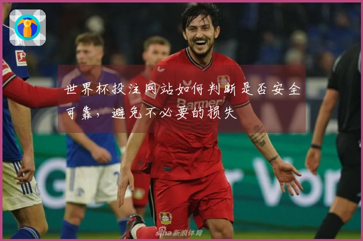 世界杯投注网站如何判断是否安全可靠，避免不必要的损失