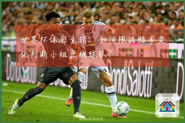 世界杯体彩竞猜：如何根据赔率变化判断小组出线球队？