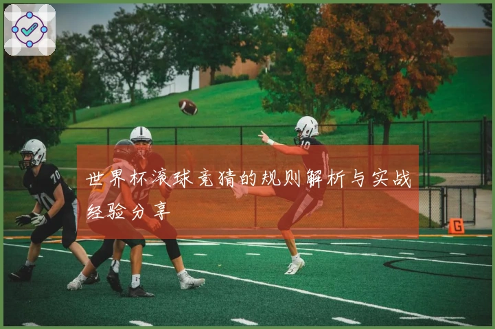 世界杯滚球竞猜的规则解析与实战经验分享