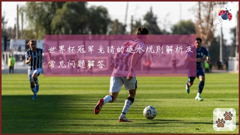 世界杯冠军竞猜的返水规则解析及常见问题解答