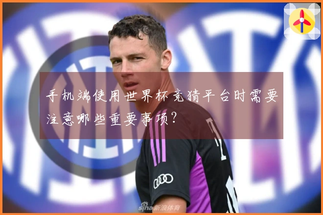 手机端使用世界杯竞猜平台时需要注意哪些重要事项？